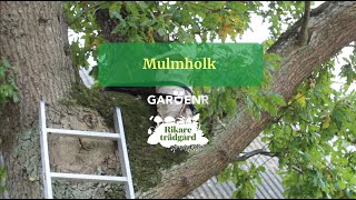 Mulmholk  Trädgårdshacks med GardenR [upl. by Aissyla]