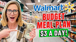 REALISTIC BUDGET FAMILY MEAL PLAN 100WEEK  2023 Feed a Family on a Budget [upl. by Gustav]