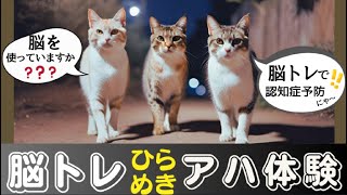 【アハ体験】楽しく脳トレ｜認知症予防｜動物ひらめきクイズ｜ケアマネ看護師作成｜リハビリ｜日本猫｜キジトラ｜アニマルセラピー [upl. by Raven]