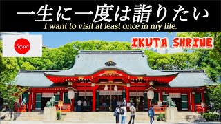 ［Hyogo生田神社］Japan Ikuta Shrine [upl. by Ariec]