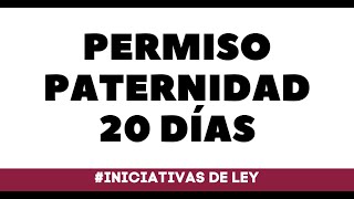 PERMISO PATERNIDAD 20 DIAS [upl. by Atnahsa]