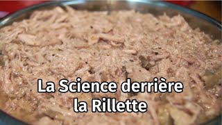 Je modernise des plats traditionnels 2  La Science de la Rillette  Cuisson sous vide [upl. by Chura]