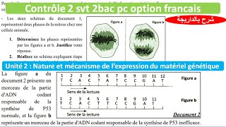 Contrôle 2 svt 1 bac sc ex option français شرح بالداريجة [upl. by Lleon]