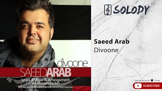 Saeed Arab  Divooneh  سعید عرب  دیونه [upl. by Domeniga581]