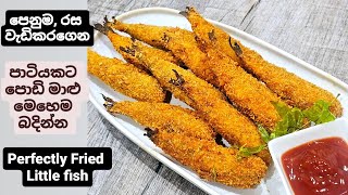 රස පෙණූම වැඩිකරගෙන පොඩි මාළු මෙහෙම බදින්න  Spicy Fried Fish [upl. by Mcgrath]