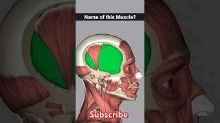 temporalis muscle anatomy  temporalis muscle release foryou shorts [upl. by Ammadis256]