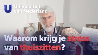 Waarom krijg je stress van thuiszitten  Erik Scherder [upl. by Rose747]