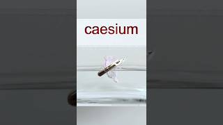 How to react caesium with water experiment science amazingfacts  physics sciencerules sci [upl. by Rebme]