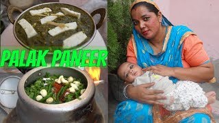 Palak Paneer Recipe  How to make Palak Paneer  Punjabi [upl. by Nonaihr]