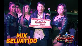 Mix Parranda Selvatico  SENTIMIENTO NORTEÑO  Local Pucllanawasi LIMA [upl. by Lucas855]