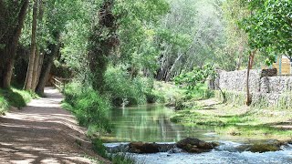 Conoce Chelva a través de la Ruta del Agua MediterráneoEnAcción [upl. by Nanete]