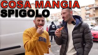 Cosa mangia SPIGOLO [upl. by Bocyaj]