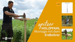 Holzpfahl mit Spitze im Boden befestigen  so einfach gehts [upl. by Attenov]