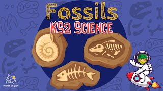 Fossils  KS2 Science  STEM and Beyond [upl. by Jenifer167]