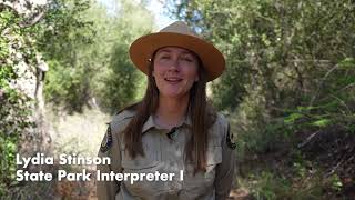 Visiting Cuyamaca Rancho State Park with your California State Park Adventure Pass [upl. by Groveman]