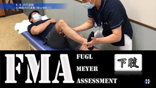 【脳卒中片麻痺評価FMA】下肢Fugl Meyer Assessment [upl. by Schou513]