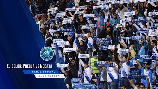 Color Pintumex Puebla vs Necaxa [upl. by Bernetta13]