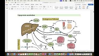 Comprehensive Guidelines of dyslipidemia part 1 biochemistry hypertriglyceridemia [upl. by Duston]