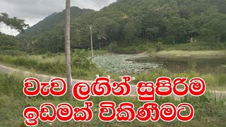 වැවක් ලගින් ඉඩමක් විකිණීමටIdam kadam aduwata kurunegala Sri LankaHouselk kurunegala [upl. by Kearney775]