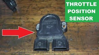 How To Replace and Adjust the Throttle Position Sensor [upl. by Ahseital899]