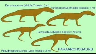 PL EXAM 2 THECODONT DESCENDANTSavi [upl. by Winwaloe]