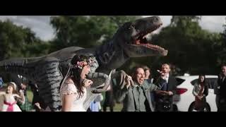 Richie The Raptor Crashes A Wedding [upl. by Erina]