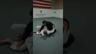 JiuJitsu KneeShield Blocking Techniques [upl. by Eerbua]