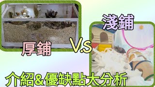 【倉鼠知識庫】墊材厚鋪amp淺鋪介紹！厚鋪要用什麼？優缺點大公開！雙鼠日常5 [upl. by Soraya]