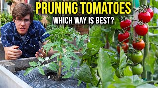 How to Prune Indeterminate Tomato Plants 4 METHODS [upl. by Novonod17]