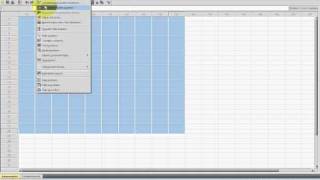 SPSS VideoSeminar  Teil 2 Dateneingabe  SPSS Oberfläche [upl. by Nahsez]