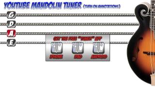 YOUTUBE MANDOLIN TUNER [upl. by Eilla353]