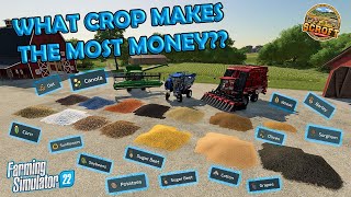 What Crop Makes The Most Money  Farming Simulator 22 [upl. by Anabahs843]