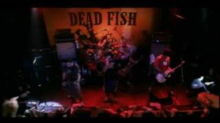 Dead Fish  Queda Livre  MTV Apresenta [upl. by Yrekaz]