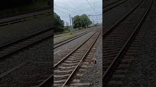 48 CROSSRAIL 186 458 komt rustig met GTSshuttle door Blerick vanuit Venlo [upl. by Kinch]