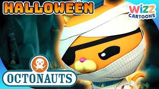 Octonauts  Spooky Special  Halloween 🎃  Compilation  Wizz Cartoons [upl. by Nylhsoj506]