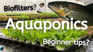 What is Aquaponics and How Does it Work [upl. by Wulfe]