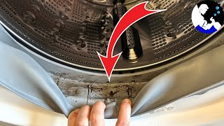 How To Clean a Washing Machine and Eliminate Bad Smell [upl. by Carter]