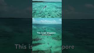 Watamu Tamu watamu coast kenya tembeakenya youtubeshorts youtube views kylsjournal [upl. by Inoue]