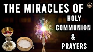 The Miracles Of Holy Eucharist amp Prayers  Devotion To The Sacred Host [upl. by Fanchie]