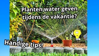 Planten water geven tijdens de vakantie Handige tips [upl. by Aihsot]