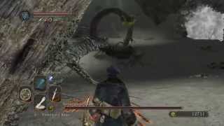 Dark Souls 2 Walkthrough  Everything possible before a boss  Shaded Ruins [upl. by Brunhilde]