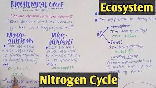 Introduction to ecosystem  Class 12 Biology [upl. by Novert]