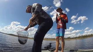 Yellowbelly fishing hot bite at Lake Keepit NSW [upl. by Diane]