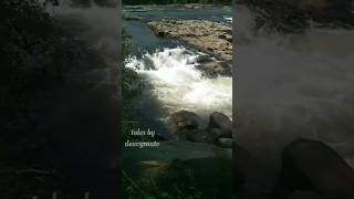 😍😍athirappillywaterfalls thumboormuzhi waterfall nature shorts shortvideo trending short [upl. by Defant]