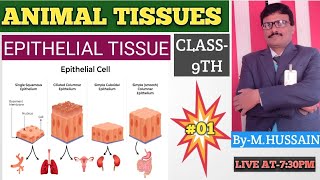 🔴🔴ANIMAL TISSUES🔴🔴EPITHELIAL TISSUES🔴🔴LECTURE01CLASS9TH🔴🔴 [upl. by Lama]