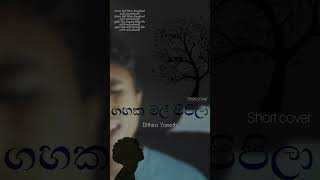 Gahaka mal pipila short cover by Dithira Yaneth karunarathnadivulgane shortcover gahakamalpipila [upl. by Enaj]