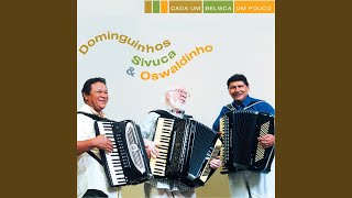 Feijoada  Pagode Russo  O Sanfoneiro Só Tocava Isso [upl. by Merras29]