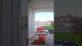 Package thief CAUGHT on camera 😱 [upl. by Eilyk]