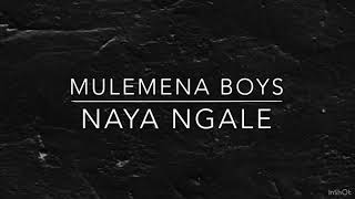 Mulemena boys naya ngale lyrics official video [upl. by Atsed]