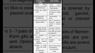 Difference between cartilaginous fishes and bony fishes [upl. by Caty]